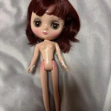 9 미디 브라이스 인형 본체