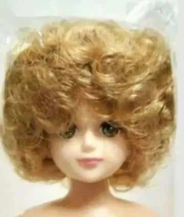 리카짱 캐슬 인형 교실 렌 군 리틀 팩토리