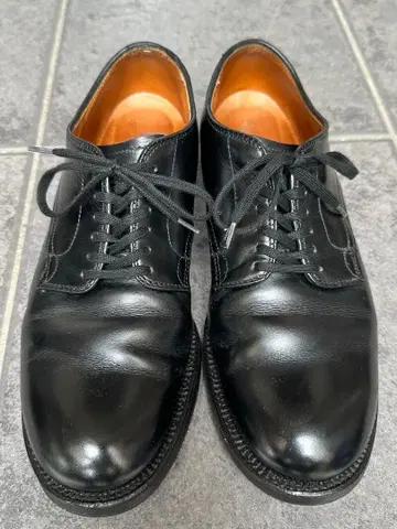 최종 가격 인하! 새상품급 Alden 53711 8D