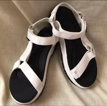 테바 JADITO 유니버셜