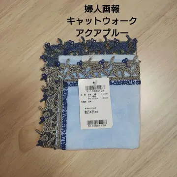 치카자와 레이스 부인화보 별주 손수건 캣워크 아쿠아 블루