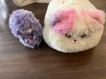 냥다 너는 쓰담쓰담 큐른