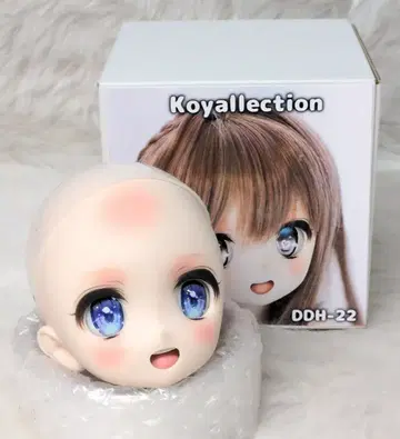 koyallection DDH-22 DD 커스텀 헤드