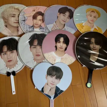 SEVENTEEN 정한 공식 부채