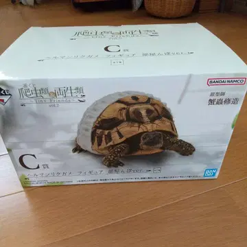 제일복권 파충류 & 양서류 C상 헤르만육지거북 피규어