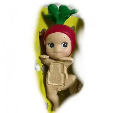 래디쉬 소니 엔젤 새상품