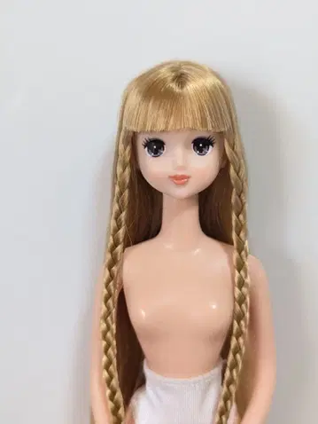 리카짱 캐슬 즐거운 인형 제니 프렌드 로벨리아