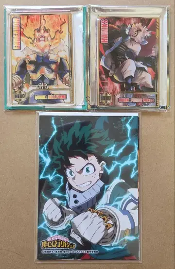 히로아카 스탯 카드 엔데버 호크스 점페스 브로마이드