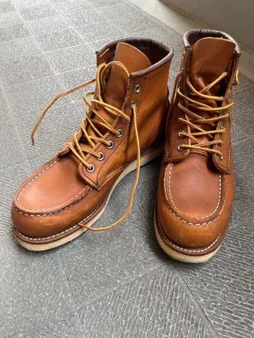 Redwing / 레드윙 아이리쉬 세터 24.5