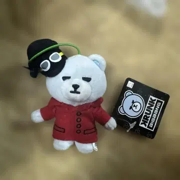 BIGBANG T.O.P FANTASTIC~ 마스코트 탑