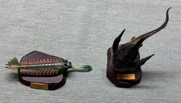 고생대 [ 생명 대폭발 ~빅뱅~ ] 오파비니아/보슬리오레피스