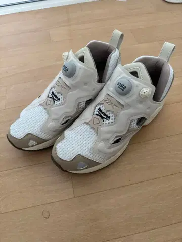 리복 펌프 퓨리