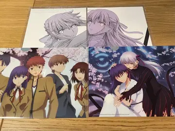 Fate/stay night Heaven's Feel