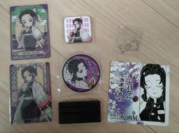 귀멸의 칼날 코쵸우 시노부 세트