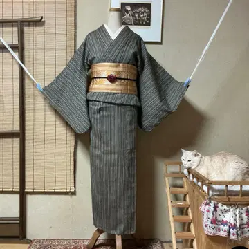 신비한 줄무늬 단의 바치 카라 기모노 151 64