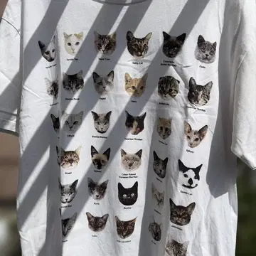 고양이 얼굴 프린트 T셔츠
