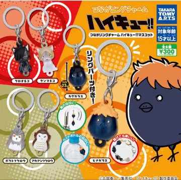 하이큐!! 이어지는 반지 참 4개 세트