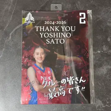 여자 배구 NEC 레드 로케츠 가와사키 사토 요시노 클리어 포스터