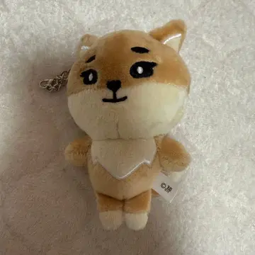 DAY6 Young K 봉제 인형 KE 일콘 FOREVER YOUNG