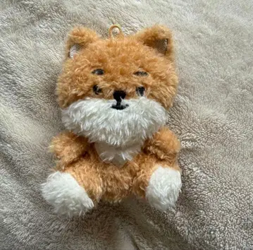 DAY6 영케이 봉제 인형 KE