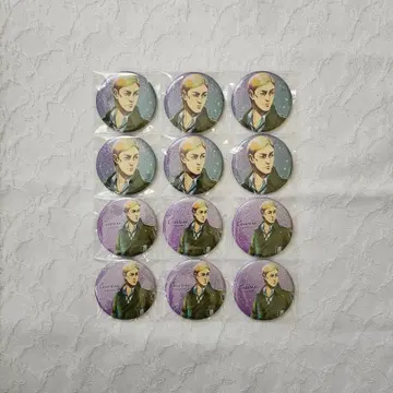 진격의 거인 겨울의 발걸음 엘빈 글리터 캔뱃지