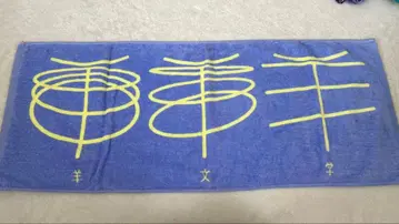 양문학 타월