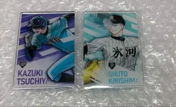 망각 배터리 스탯 카드 츠치야 키리시마