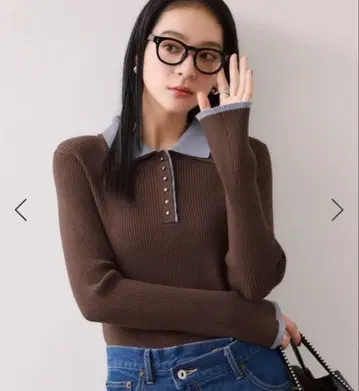 VIS 더블 컬러 폴로 니트탑 브라운