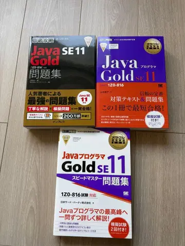 Java Gold SE 11 텍스트, 문제집