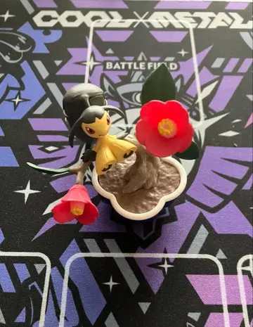 쿠치트 포켓 분재 리멘트