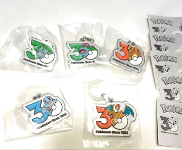 포켓몬 30주년 메탈 참 키링 파이리 리자몽