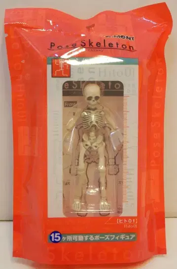 리멘트 포즈 스켈레톤 사람 01