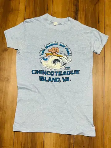 80s ZIGGY 티셔츠 devknit