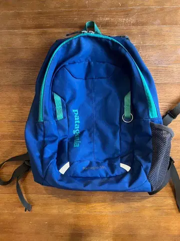 patagonia Refugio 15L 백팩