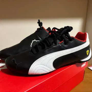 PUMA x 페라리 콜라보 스니커즈 퓨처캣 새상품, 미사용품