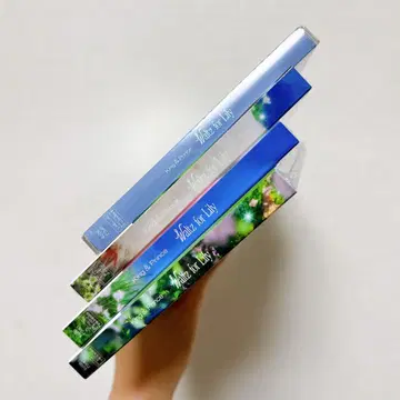 새상품 King & Prince Waltz for Lily 킹프리