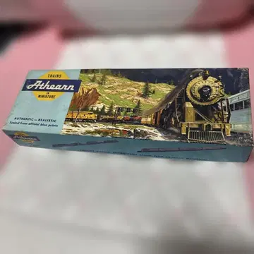 SOUTHERN PACIFIC 6009 철도 모형