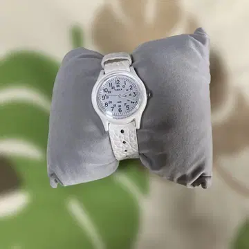 TIMEX TW2T96200