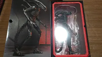 NECA 네카 제노모프 XX121 에이리언 로물루스