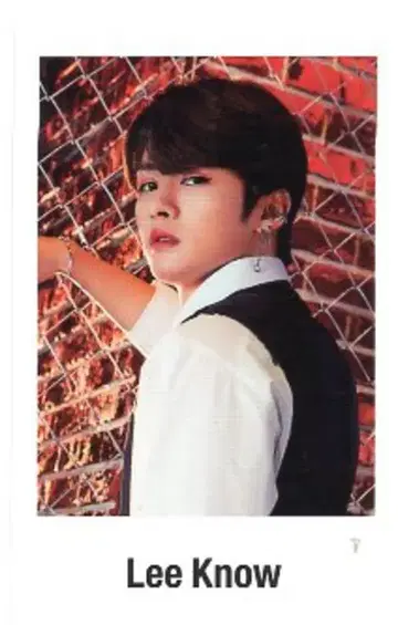 StrayKids 리노 ALL IN OFFICIAL GOODS 폴라로이드