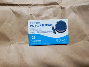 원피스 크로커스 동물병원 반려동물 진찰권 카드