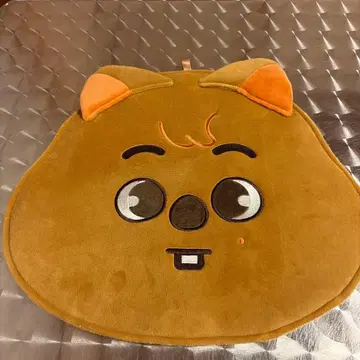 straykidsHAN JYP 캐릭터 얼굴 부채 케이스