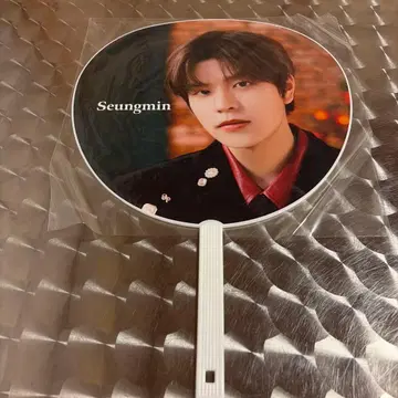 Stray Kids 승민 부채