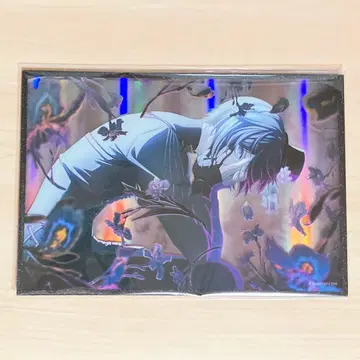 프로세카 하피콜레 KAITO 아크릴 색지