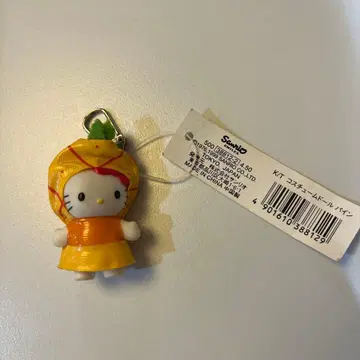 레어 희귀 헬로키티 파인애플 키링 코스튬 인형 파인