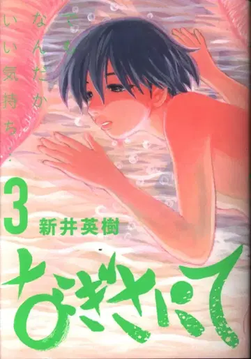 소학관 빅 코믹스 아라이 히데키 나기사니테 3