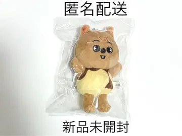 Stray Kids 백참 푸딩 한쿼카