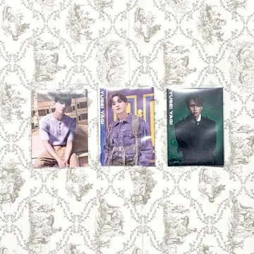 판타 야기 유세이 트레이딩 카드 3종 세트