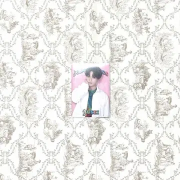 판타 야기 유세이 포토 카드