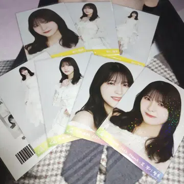 노기자카46 하야카와 세이라 노기코레 SR N 컴프 브로마이드 묶음 판매